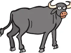 谢震业刷新里程碑，那不勒斯首回合力克上海海港，晋级概率达57％(甘肃肃北47级地震暂无人员伤亡)